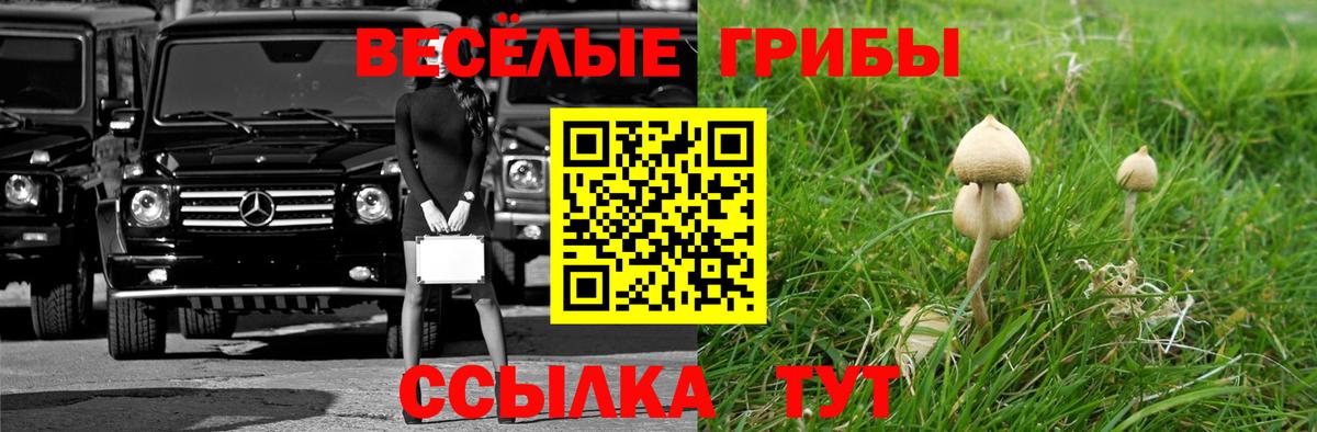 Псилоцибиновые грибы Psilocybe  Вход с VPN  Галлюциногенные грибы Psilocybine cubensis  Славгород 